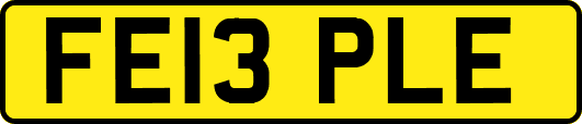 FE13PLE