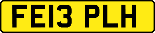 FE13PLH