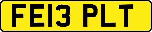 FE13PLT
