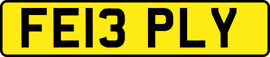 FE13PLY