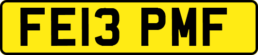 FE13PMF