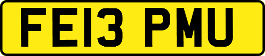 FE13PMU
