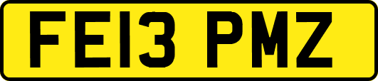 FE13PMZ