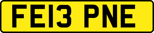 FE13PNE