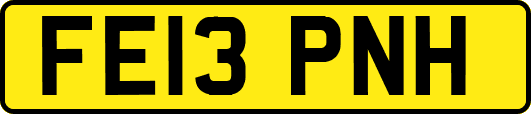 FE13PNH