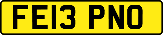 FE13PNO