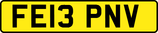 FE13PNV