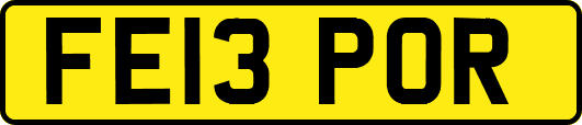 FE13POR