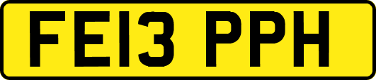FE13PPH