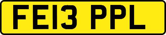 FE13PPL