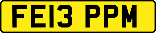 FE13PPM