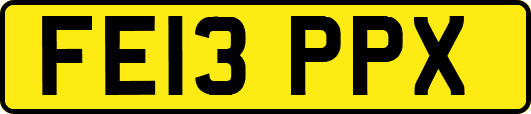 FE13PPX