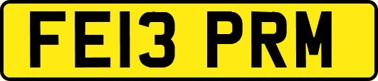 FE13PRM