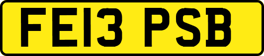 FE13PSB