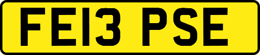 FE13PSE