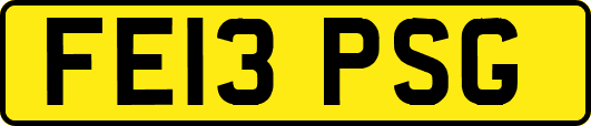 FE13PSG