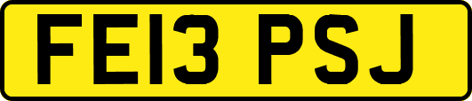 FE13PSJ