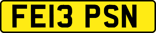 FE13PSN