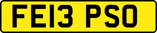 FE13PSO