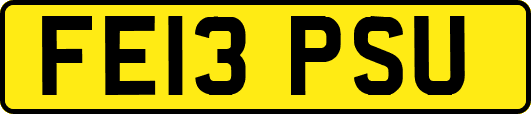 FE13PSU