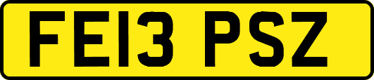 FE13PSZ
