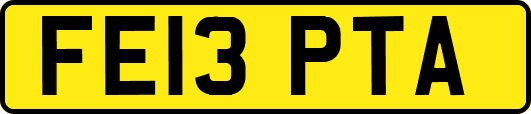 FE13PTA