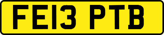 FE13PTB