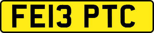 FE13PTC