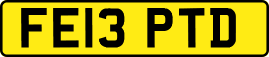 FE13PTD
