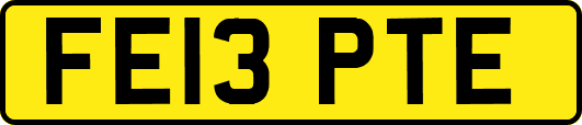 FE13PTE