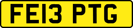 FE13PTG