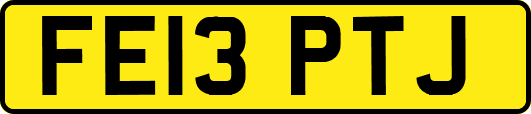 FE13PTJ