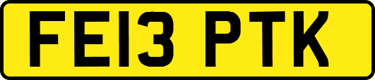 FE13PTK