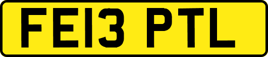 FE13PTL