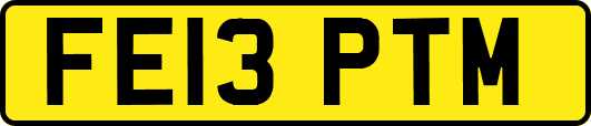 FE13PTM