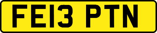 FE13PTN