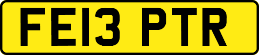 FE13PTR