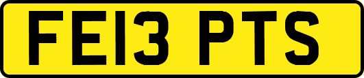 FE13PTS