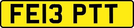 FE13PTT