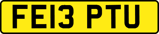 FE13PTU