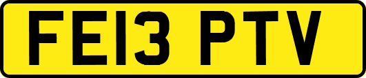 FE13PTV
