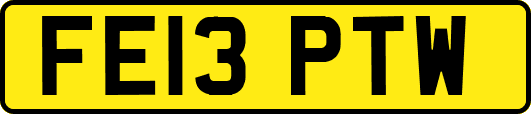 FE13PTW