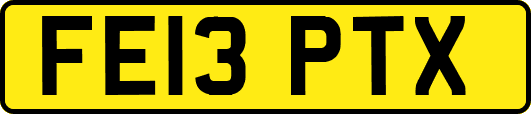FE13PTX