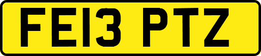 FE13PTZ