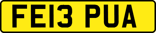 FE13PUA
