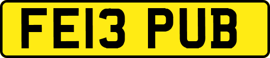 FE13PUB
