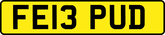FE13PUD