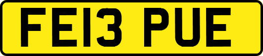 FE13PUE
