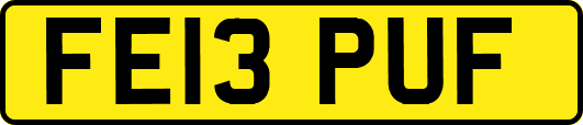 FE13PUF