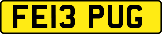 FE13PUG